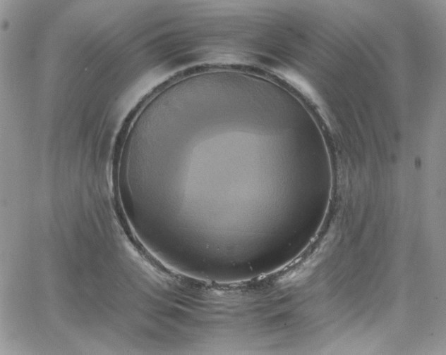 X0000066520935200603201320