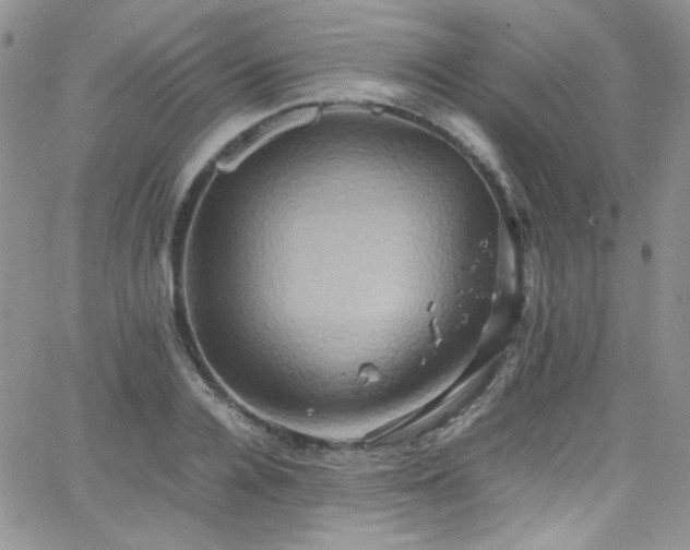 X0000066520936200603201320