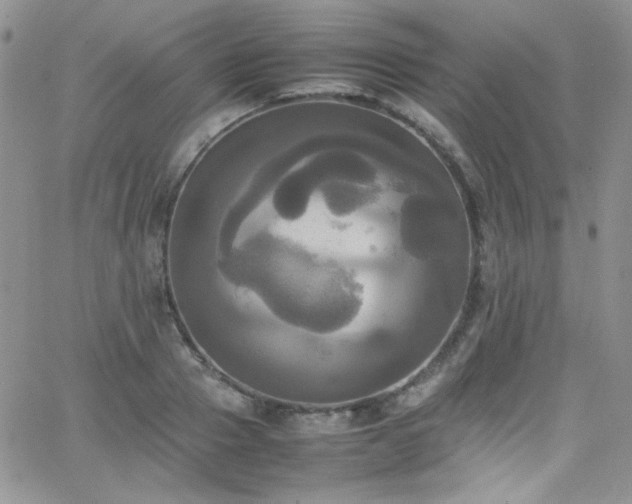 X0000066520937200603201320