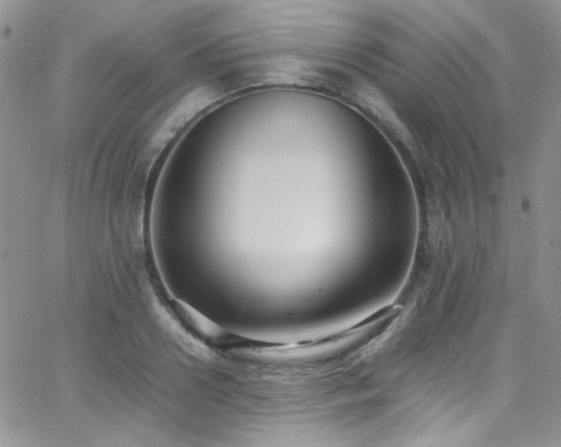 X0000066520938200603201320