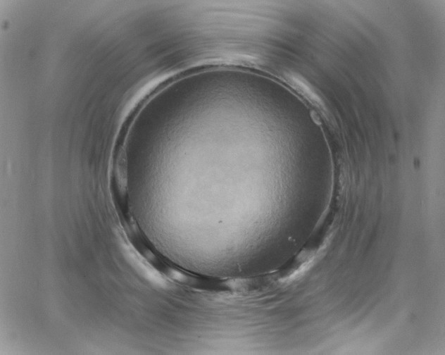 X0000066520940200603201320