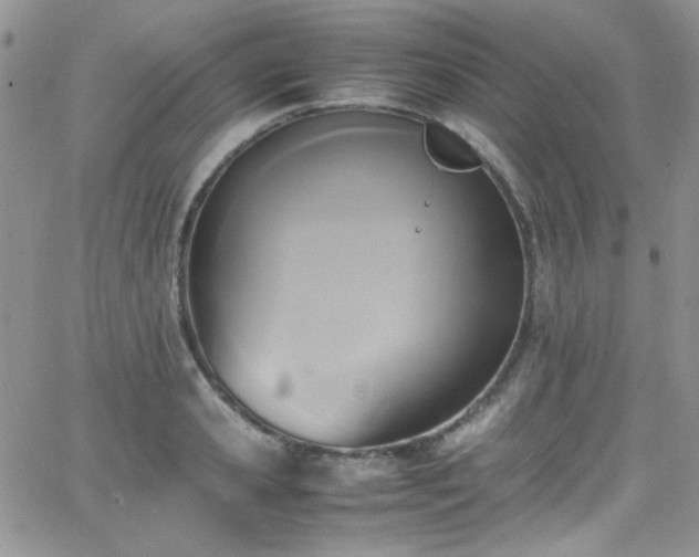 X0000066520941200603201320