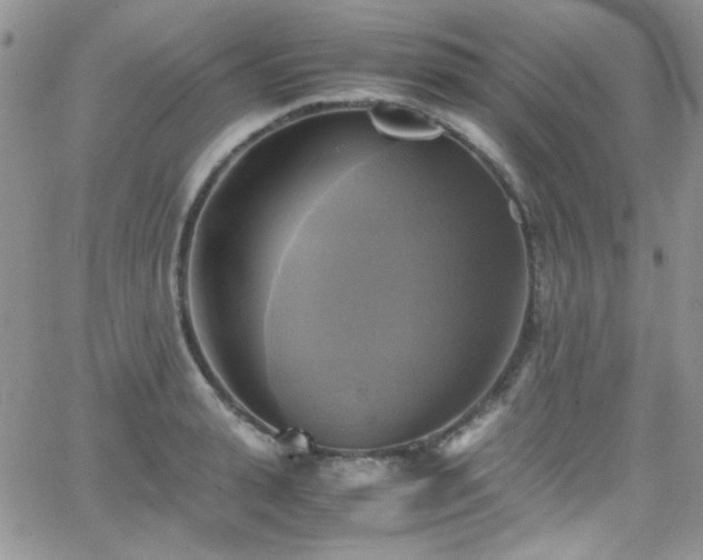 X0000066520943200603201320