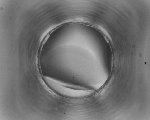 X0000066520944200603201320