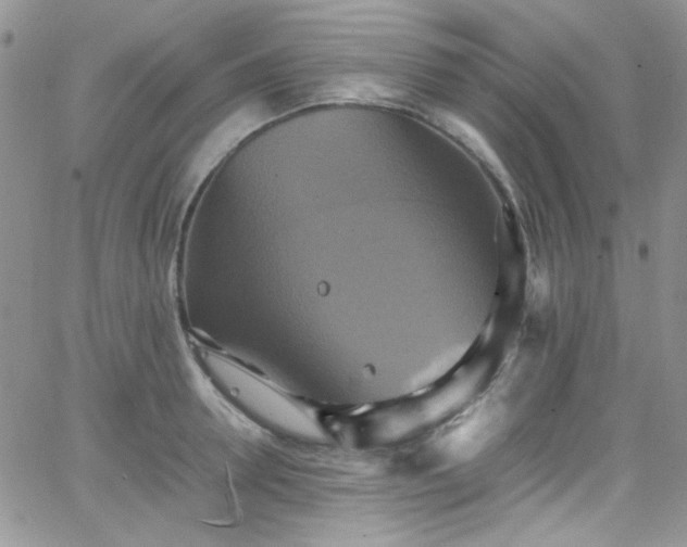 X0000066520946200603201320