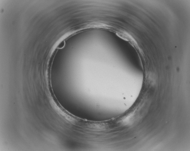 X0000066520947200603201320