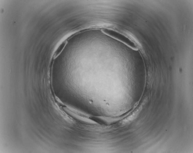 X0000066520948200603201320