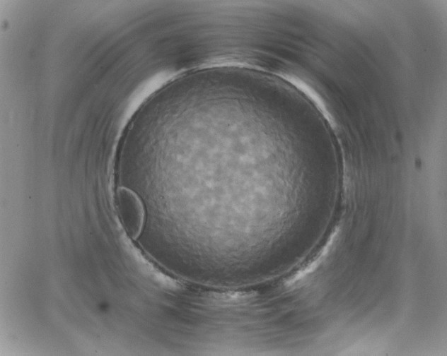 X0000066520949200603201320