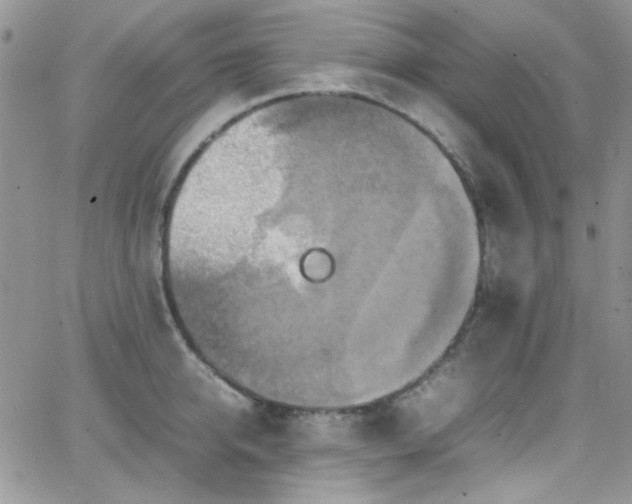 X0000066520950200603201320