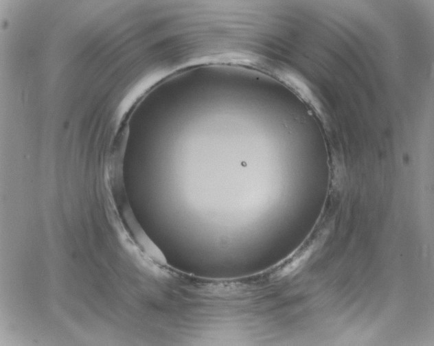 X0000066520952200603201320