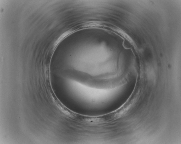 X0000066520953200603201320