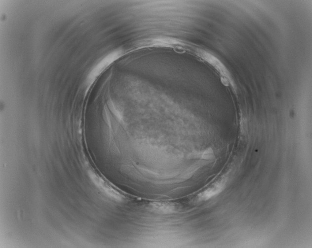 X0000066520954200603201320