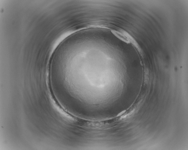 X0000066520955200603201320