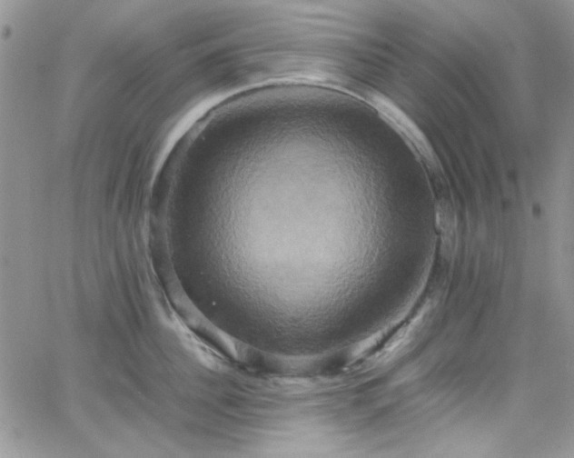 X0000066520956200603201320