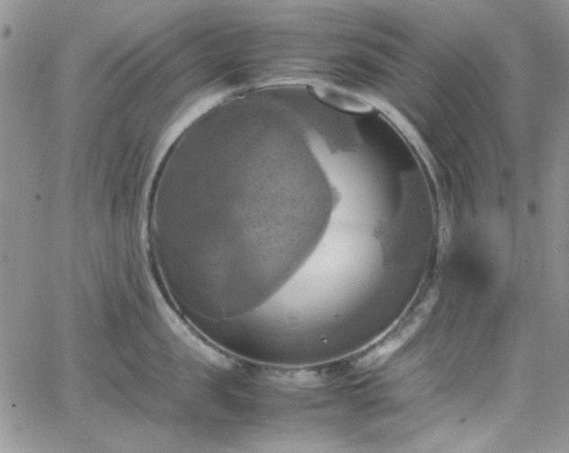 X0000066520957200603201320