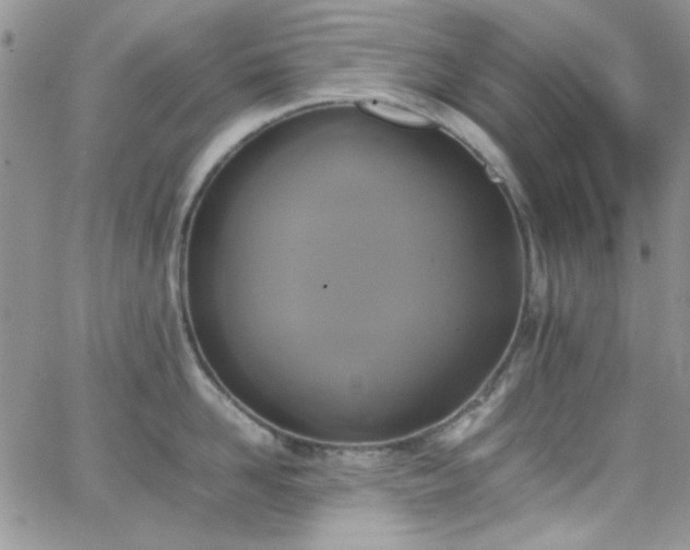 X0000066520958200603201320