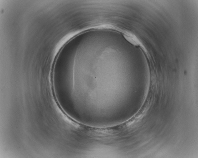 X0000066520959200603201320