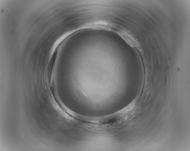 X0000066520960200603201320