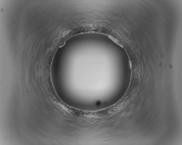 X0000066520961200603201319