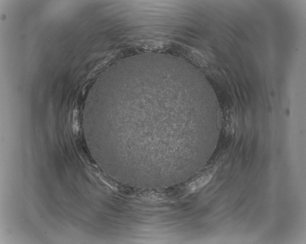 X0000066520962200603201319