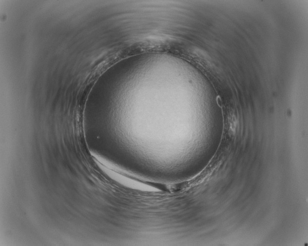 X0000066520964200603201319