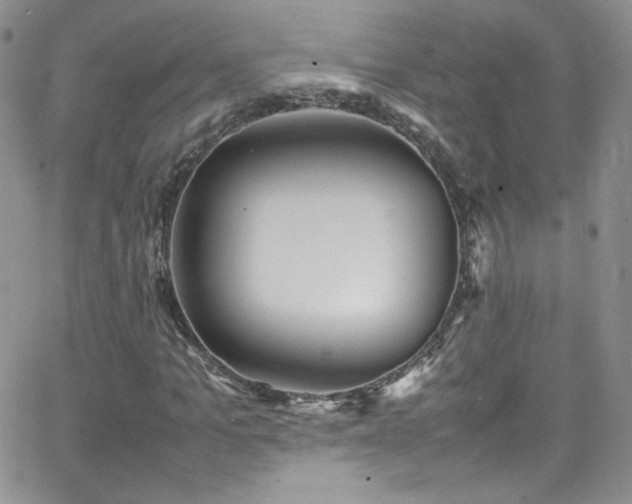 X0000066520965200603201319