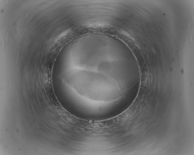 X0000066520966200603201319