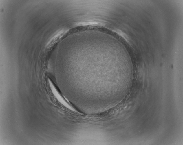 X0000066520967200603201319