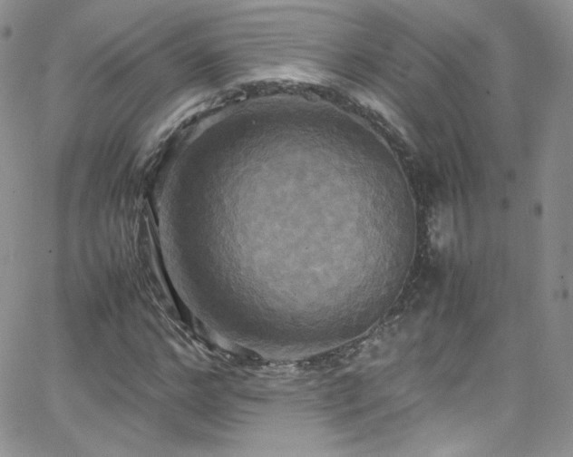 X0000066520968200603201319