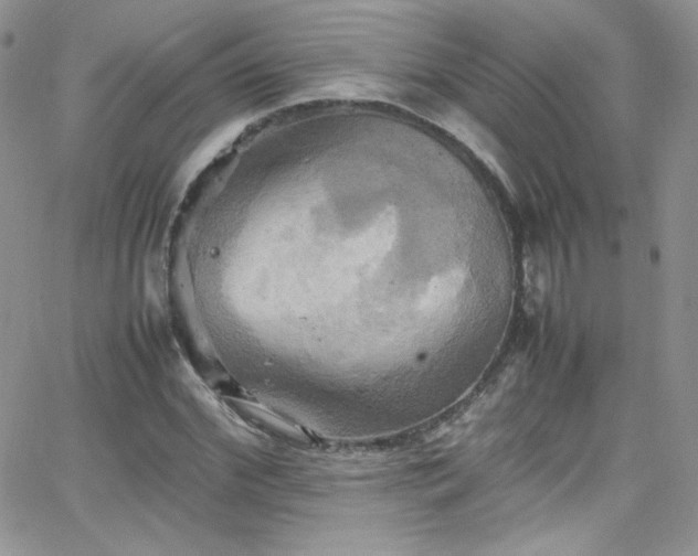 X0000066520972200603201319