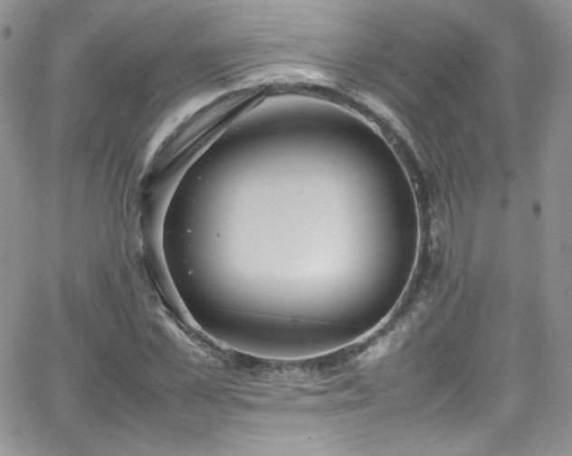 X0000066520973200603201319