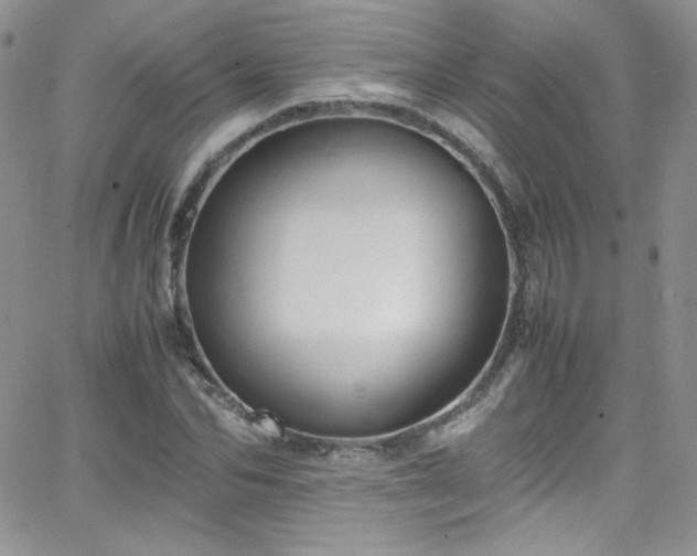 X0000066520974200603201319