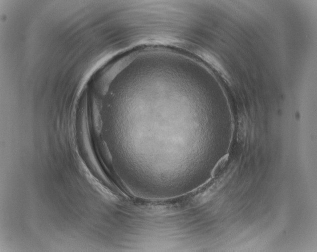 X0000066520976200603201319