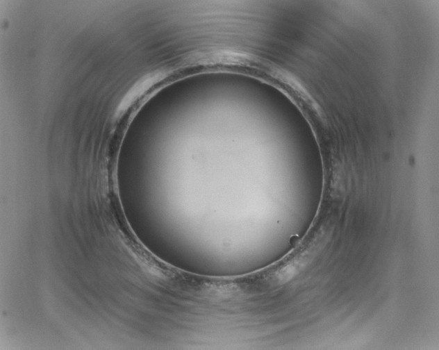 X0000066520978200603201319