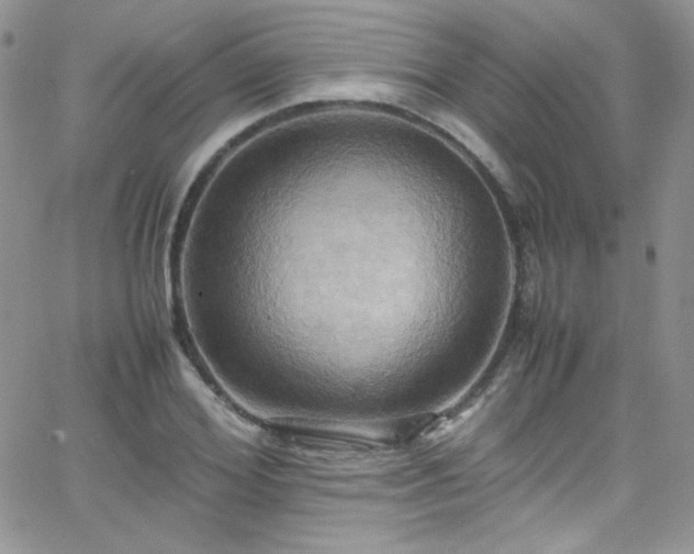 X0000066520980200603201319