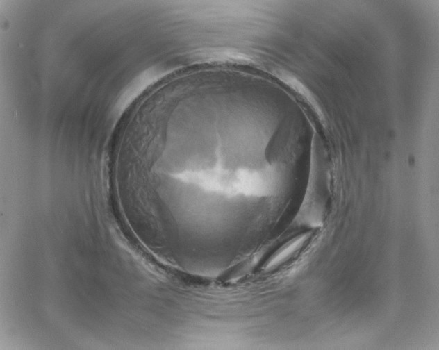 X0000066520983200603201319