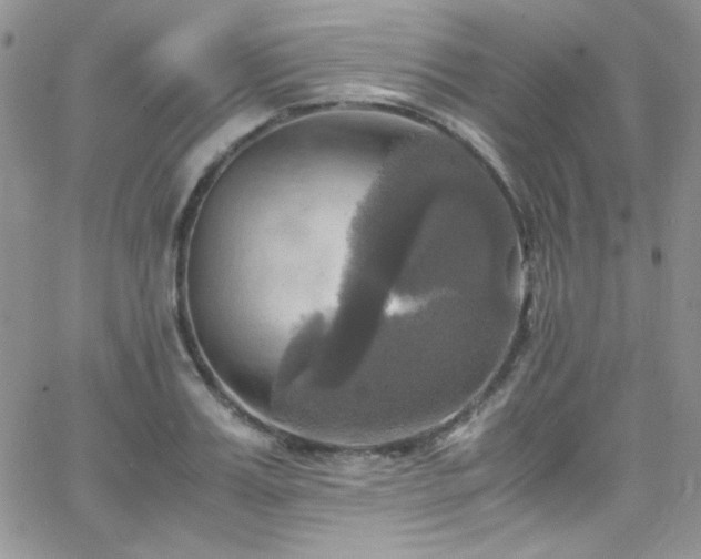 X0000066520987200603201319