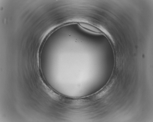 X0000066520988200603201319