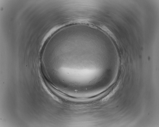 X0000066520989200603201319