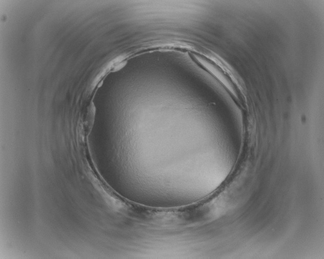 X0000066520993200603201319