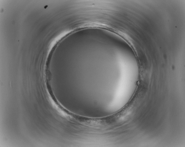 X0000066520995200603201319