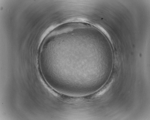 X0000066520997200603201319