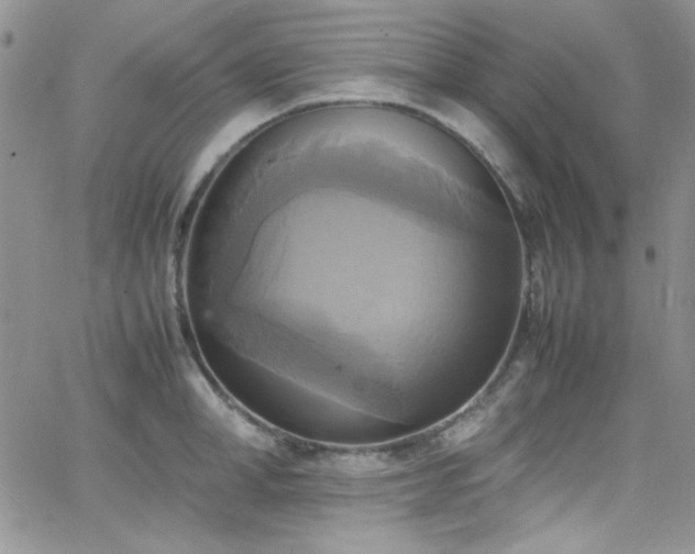 X0000066520998200603201319