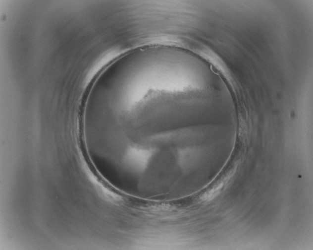 X0000066520999200603201319