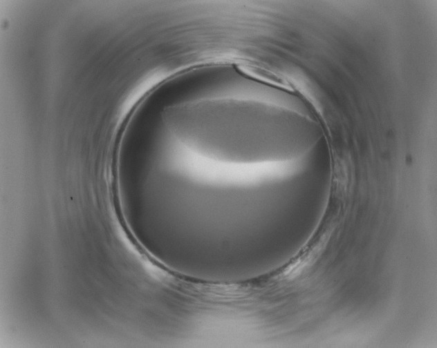 X0000066521007200603201319