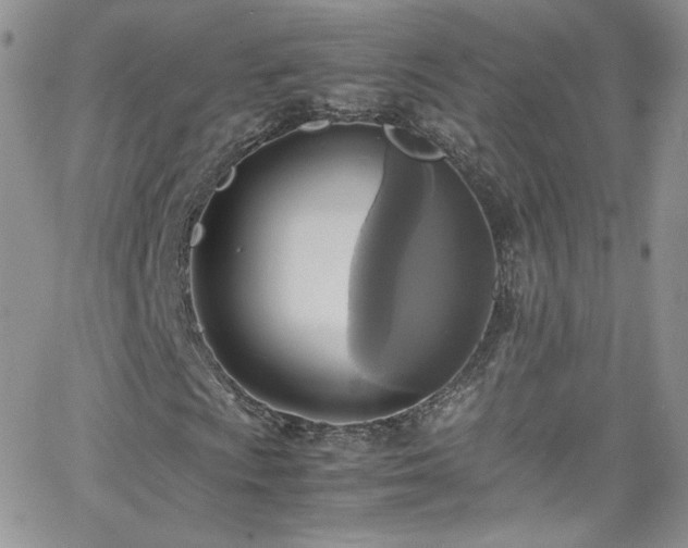 X0000066521009200603201318