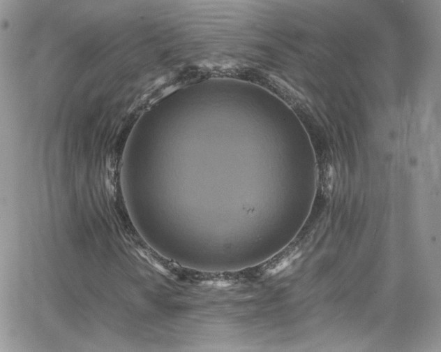 X0000066521010200603201318