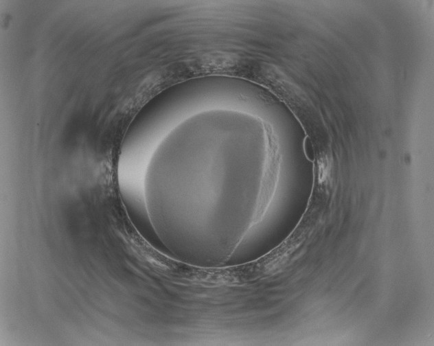 X0000066521011200603201318