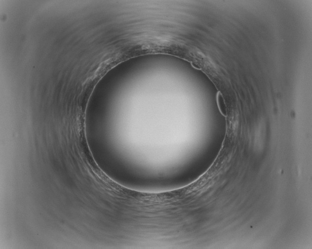 X0000066521012200603201318