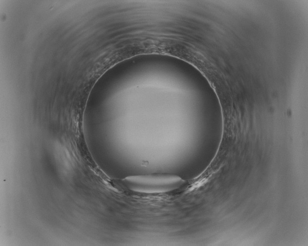 X0000066521013200603201318